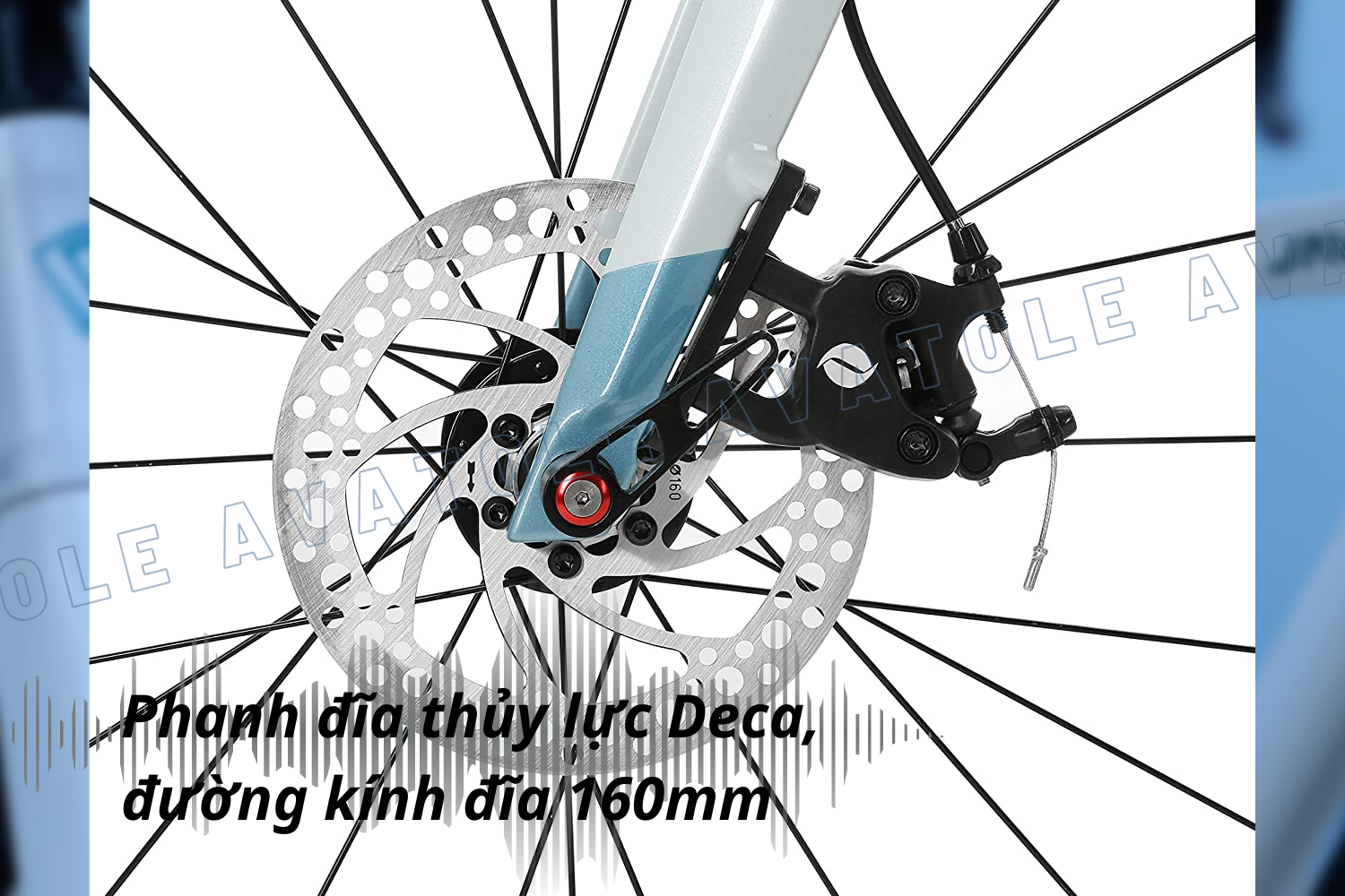 Java Fuoco Disc Carbon Shimano 105 R7000