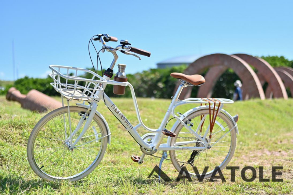 Momentum 2021 Ineed Latte 24 Momentum 2021 Ineed Latte 24