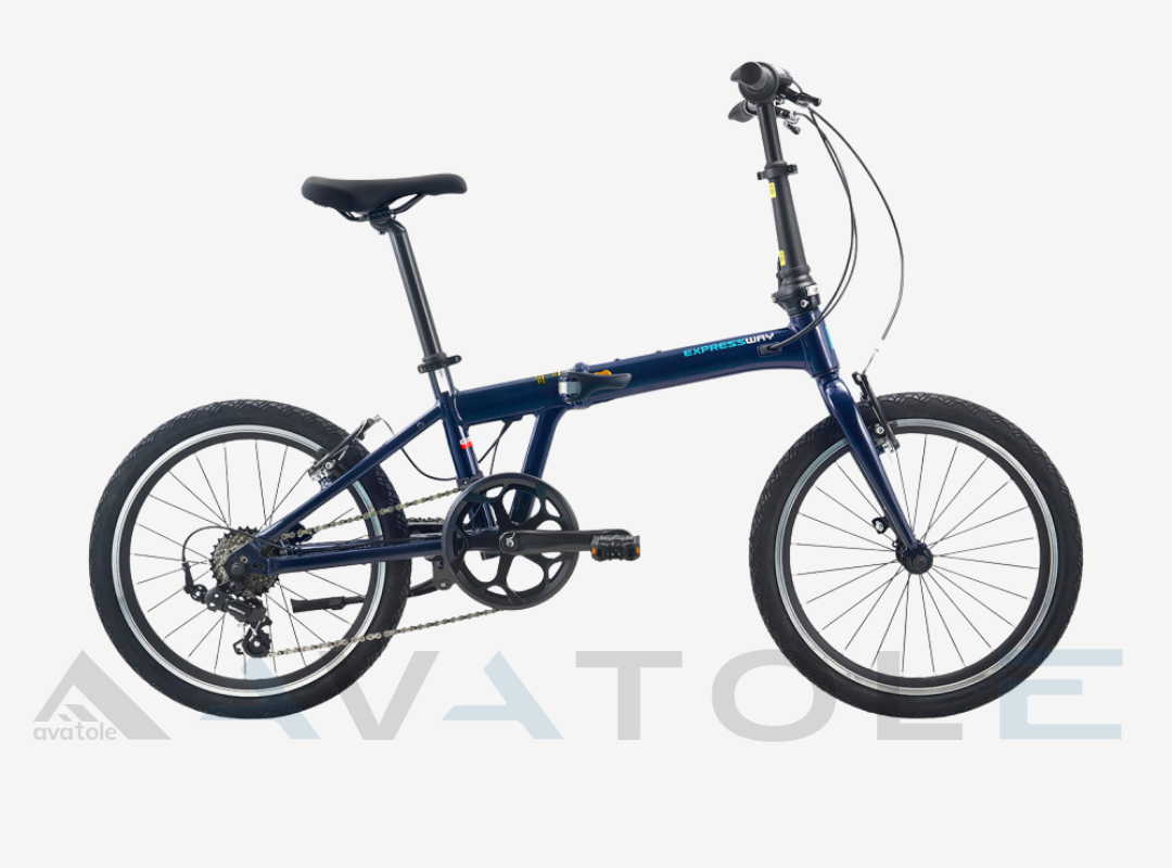 Xe đạp gấp 2021 Momentum Ithink Expressway