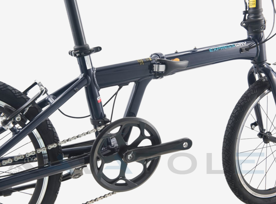 Xe đạp gấp 2021 Momentum Ithink Expressway