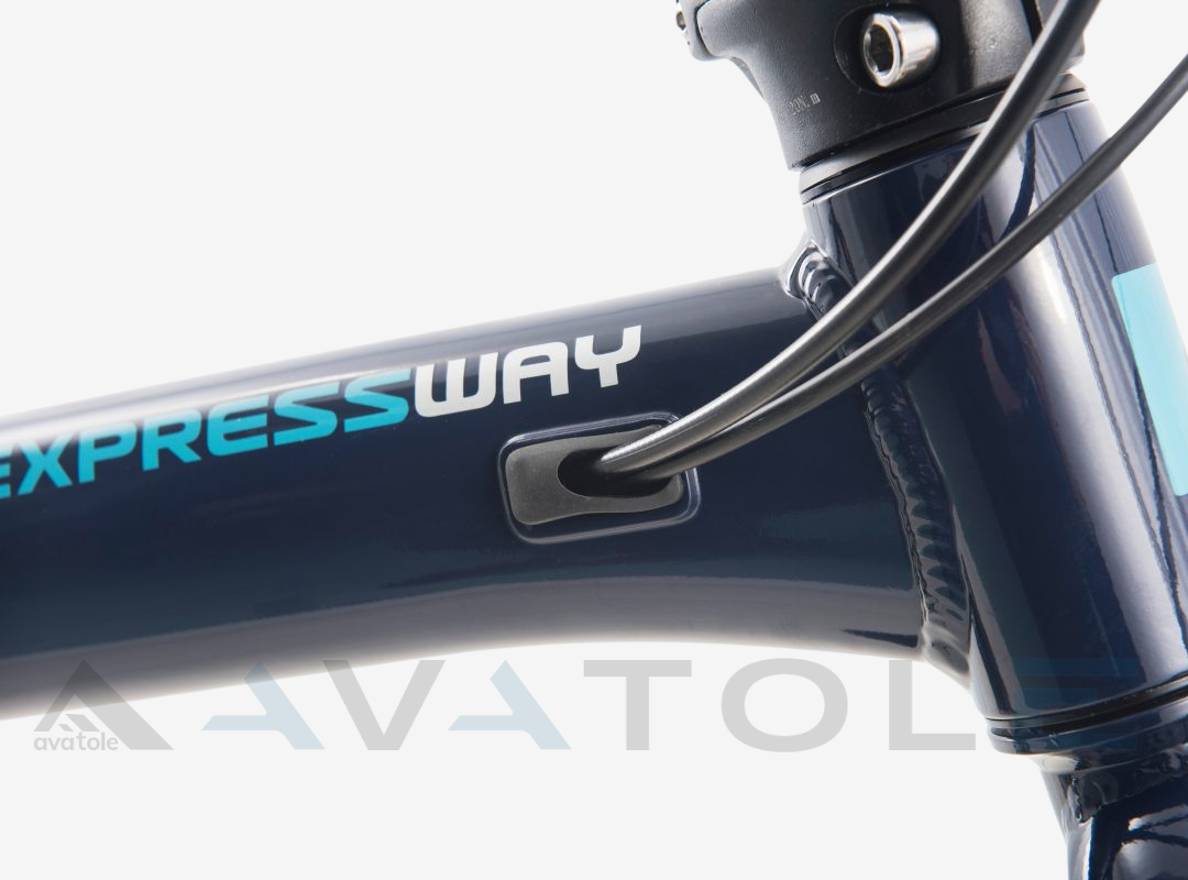 Xe đạp gấp 2021 Momentum Ithink Expressway