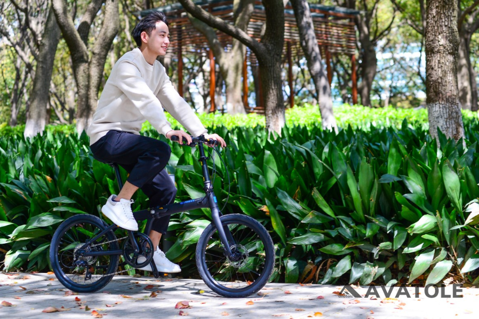 Xe đạp gấp Momentum 2021 Ithink Expressway D