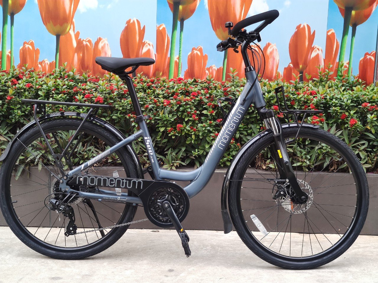 Momentum 2022 Isee 330 Momentum 2022 Isee 330