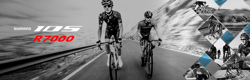 Chi Tiết Sava Hi-Speed Chi Tiết Sava Hi-Speed