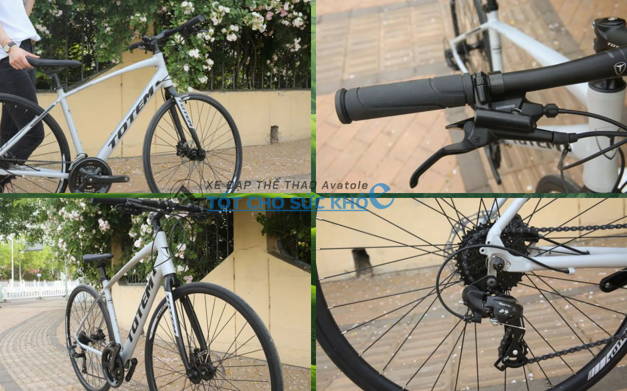 Xe đạp đường trường Totem Richard Xe đạp đường trường Totem Richard