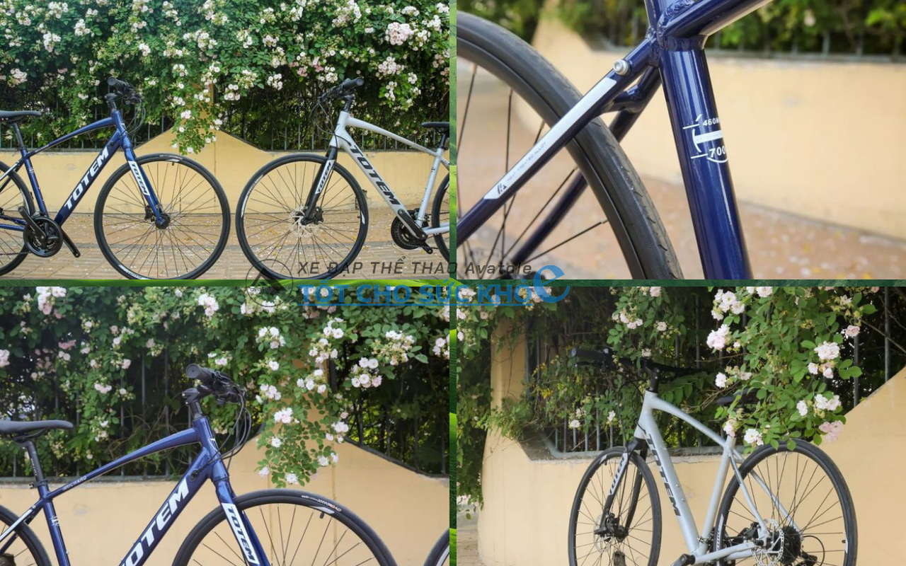 Xe đạp đường trường Totem Richard Xe đạp đường trường Totem Richard