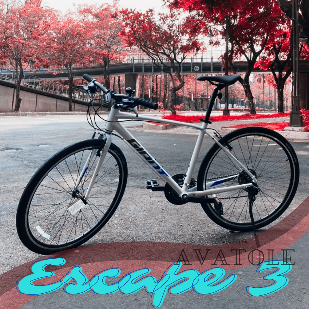 2022 Escape 3