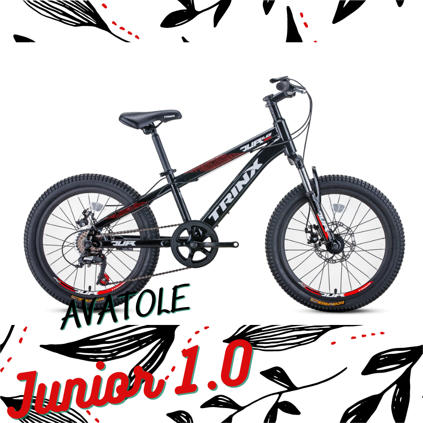 Xe đạp trẻ em TrinX Junior1.0 màu trắng đen
