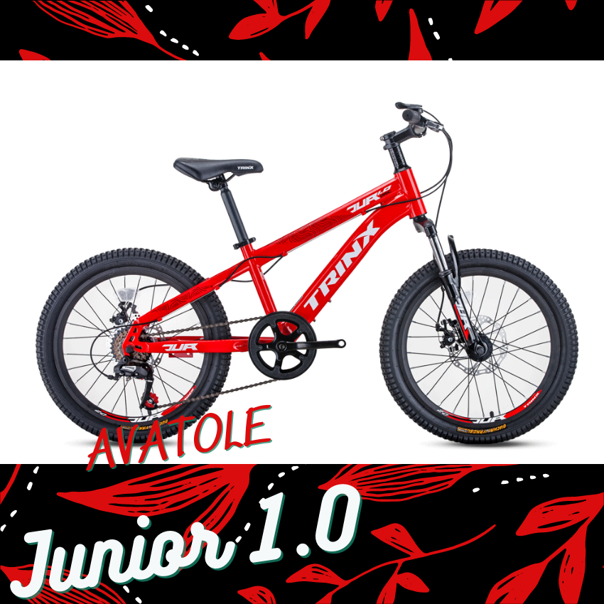 Xe đạp trẻ em TrinX Junior1.0 màu trắng đỏ