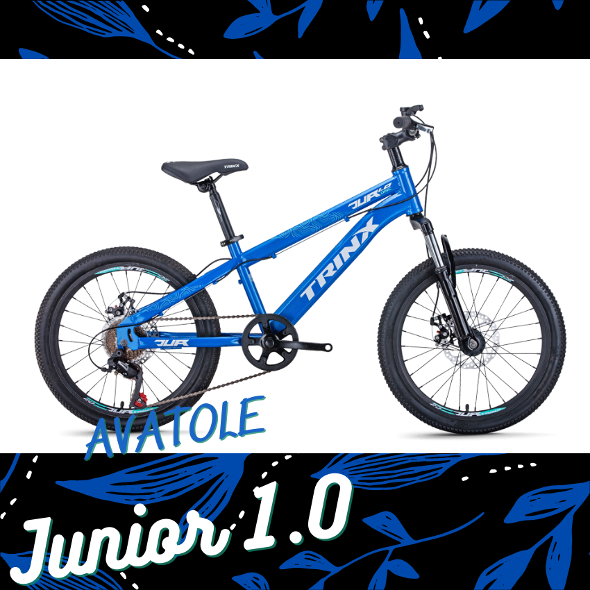 Xe đạp trẻ em TrinX Junior1.0 màu trắng xanh dương