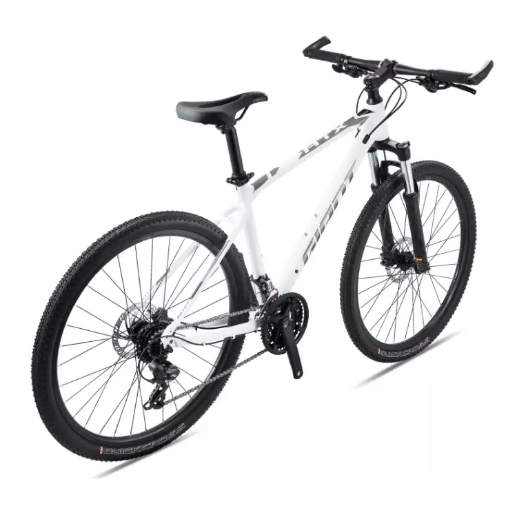 Xe đạp địa hình Giant ATX 810 phiên bản 2021 màu đen trắng