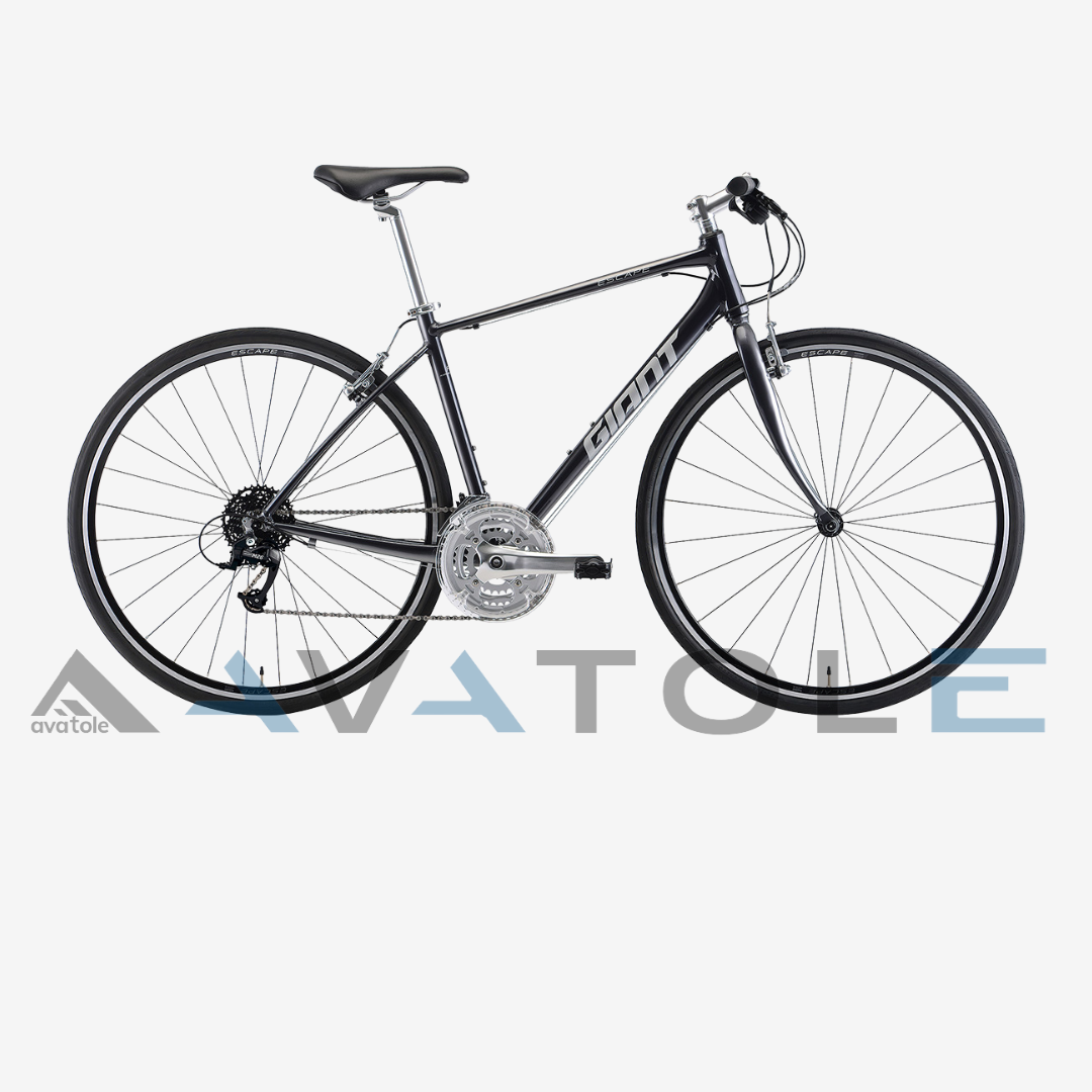 Xe đạp đường trường 2022 Giant Escape R3-MS màu trắng đen