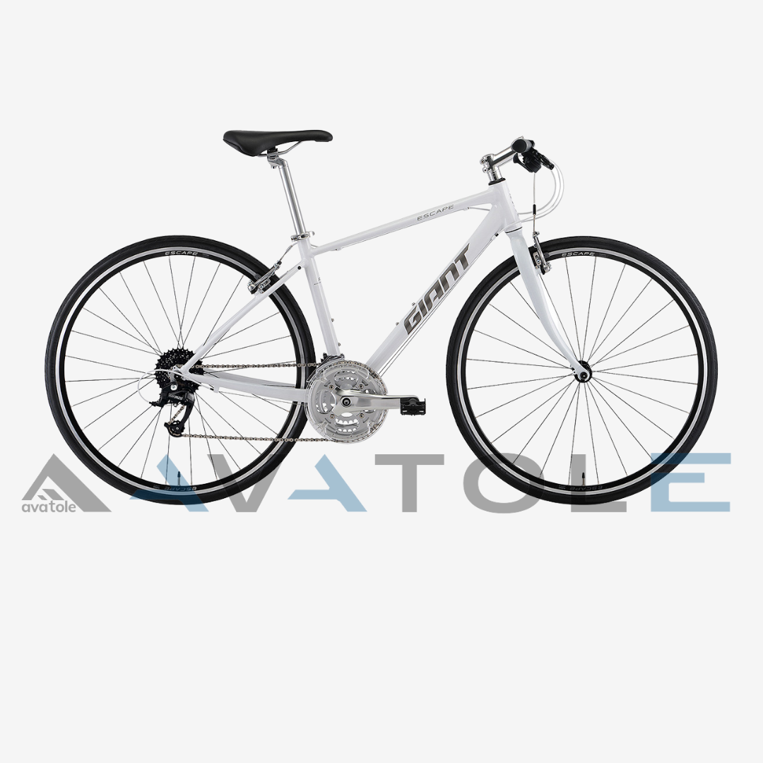 Xe đạp đường trường 2022 Giant Escape R3-MS màu xám trắng