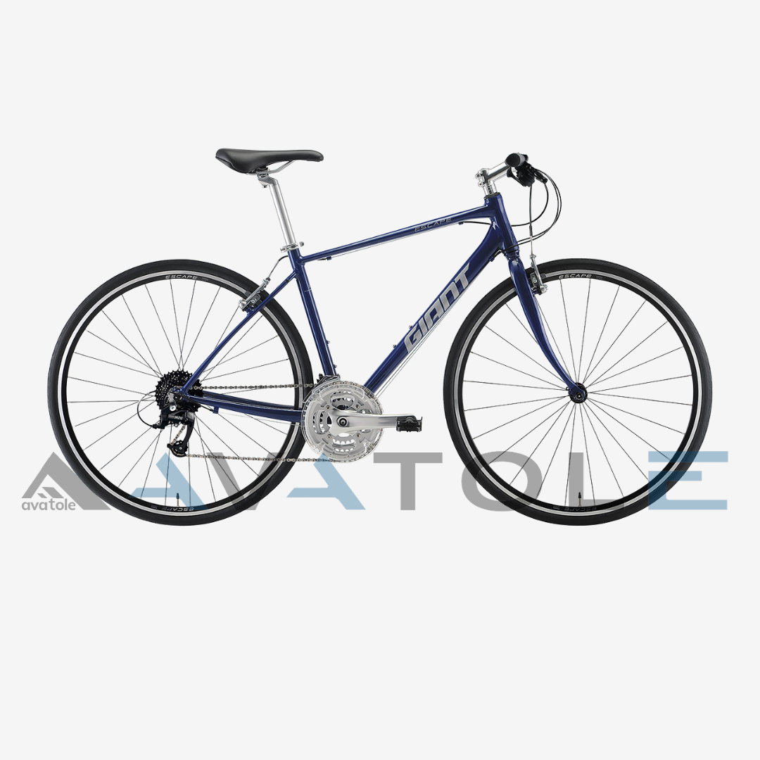 Xe đạp đường trường 2022 Giant Escape R3-MS màu trắng xanh dương