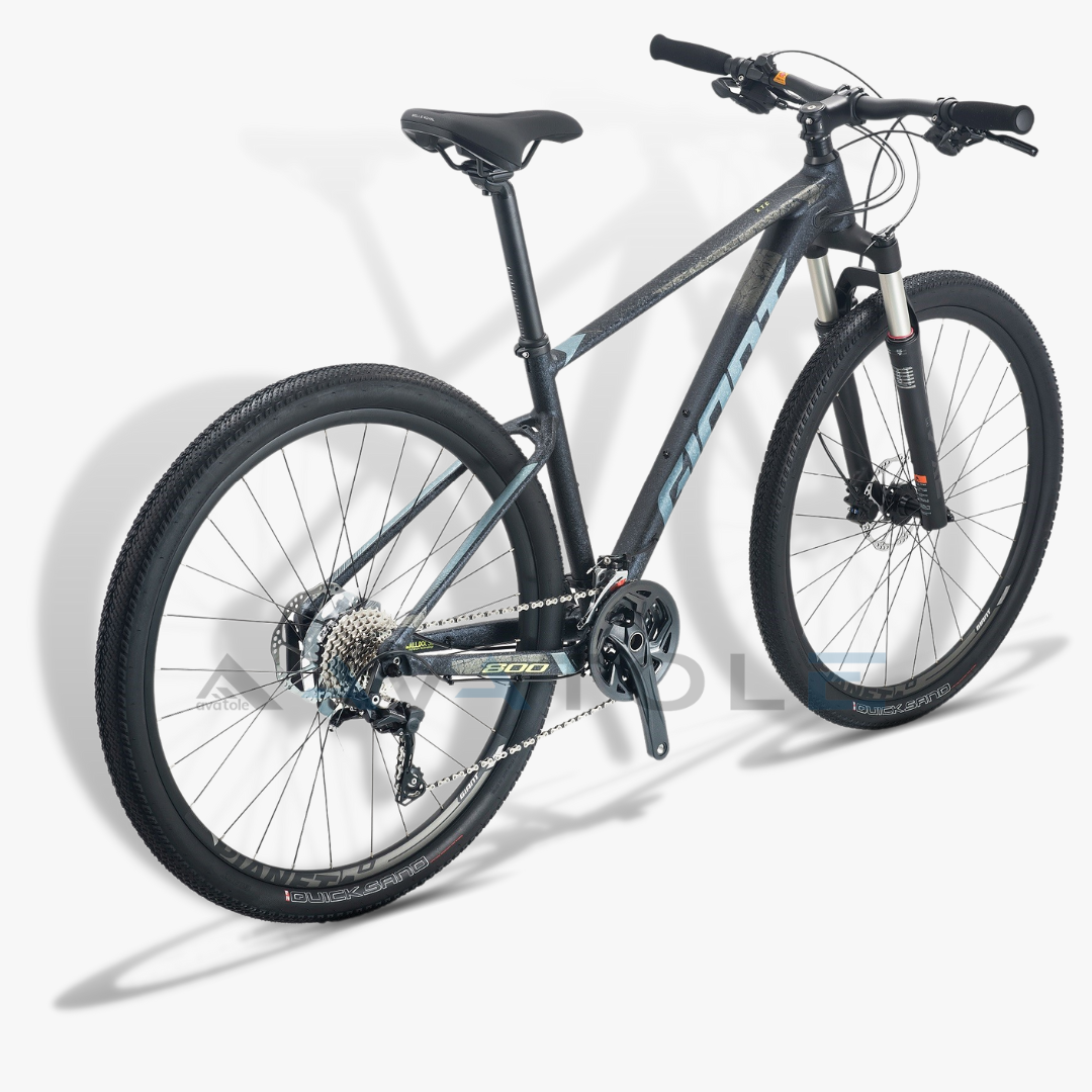 Xe đạp địa hình Giant 2023 XTC 800 màu xanh lơ đen sần sùi