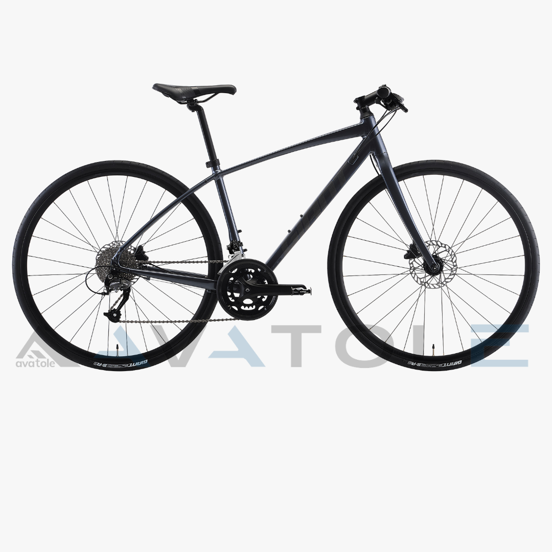 Xe đạp đường trường Giant 2023 Escape RX 2 Disc màu đen