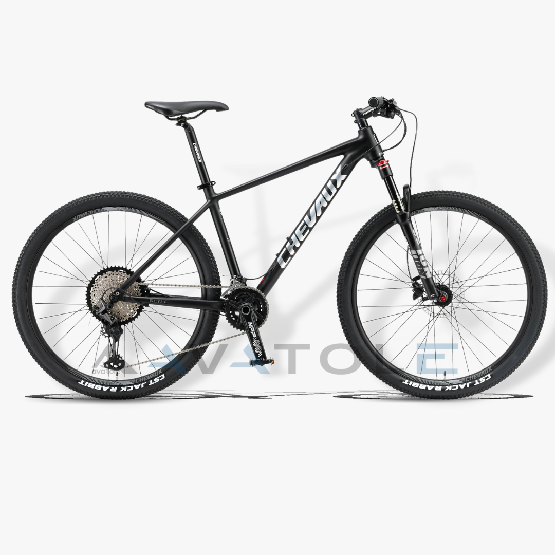 Xe đạp địa hình Chevaux Sonic màu bạc đen