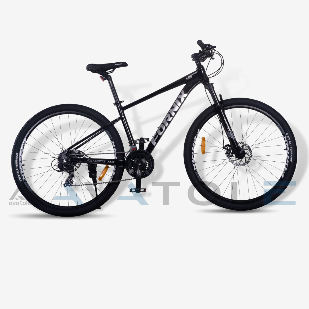 Xe đạp địa hình 2023 Fornix M9 màu bạc đen
