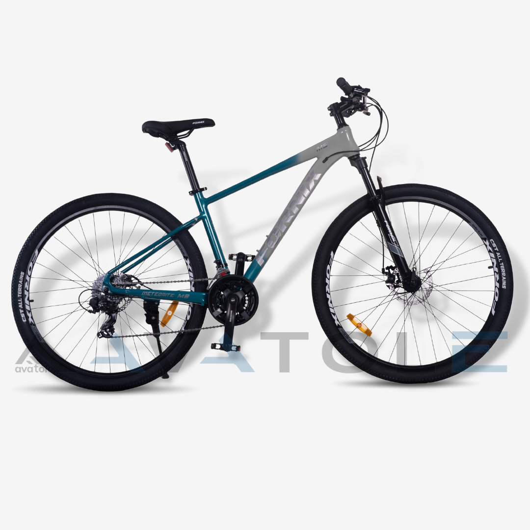 Xe đạp địa hình 2023 Fornix M9 màu bạc xám xanh ngọc