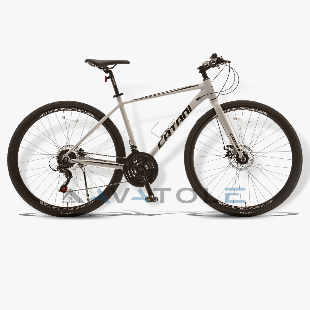 Xe đạp touring Catani 2.1 màu đen sữa đục