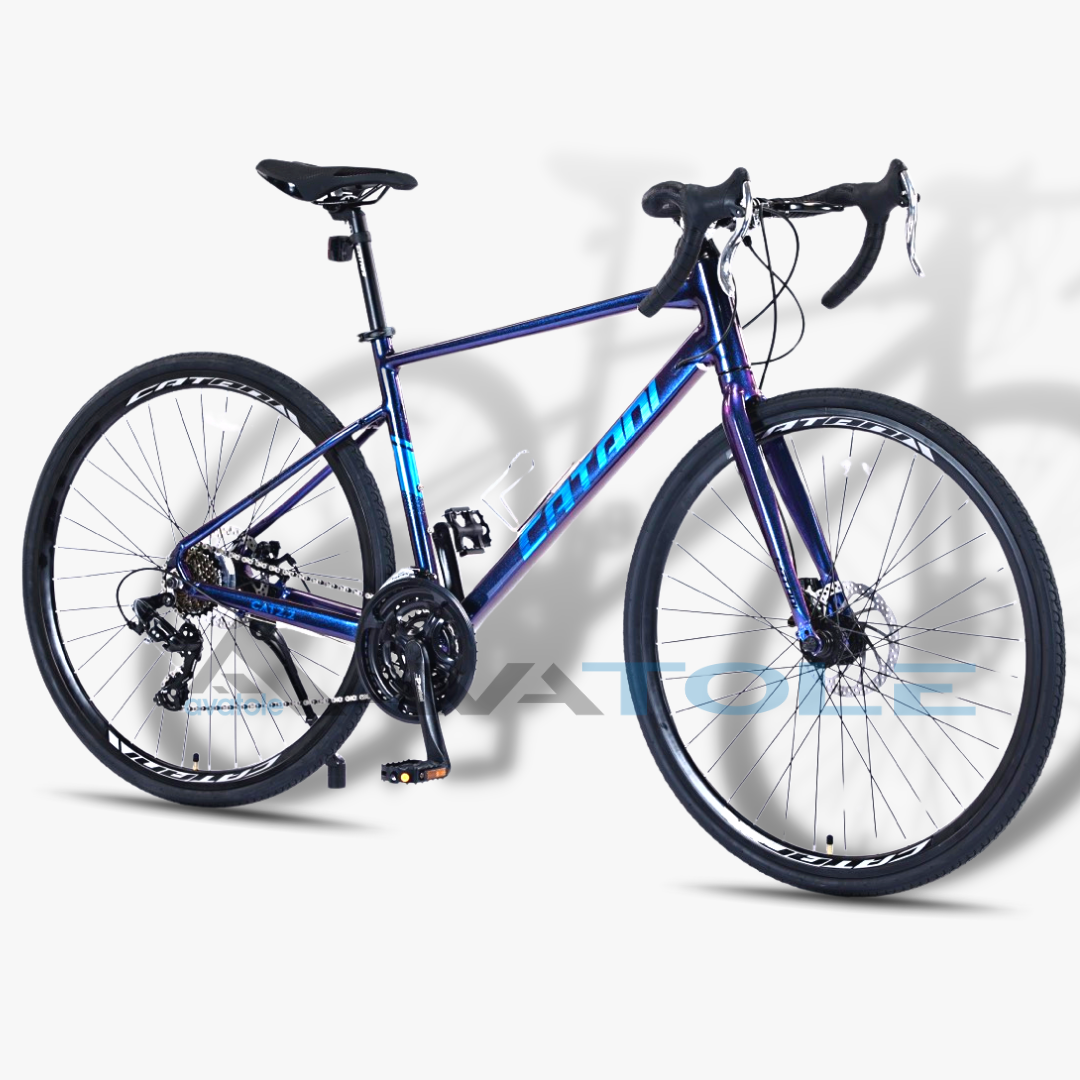 Xe đạp đua Catani CAT 2.2 màu xanh dương tím