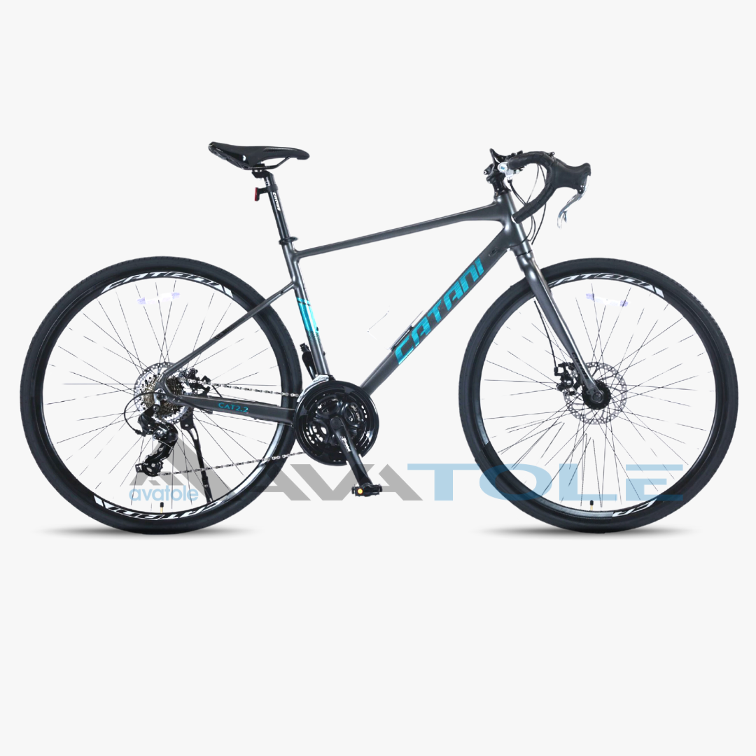 Xe đạp đua Catani CAT 2.2 màu xanh ngọc xám