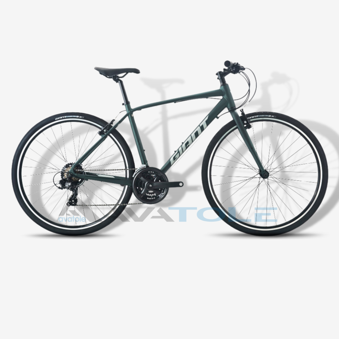 Xe đạp đường trường Giant 2024 Escape 3 màu trắng xanh rêu