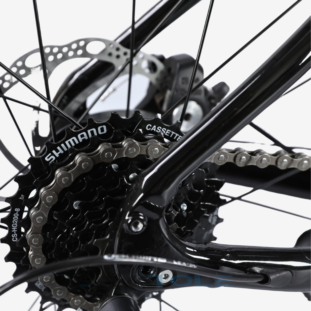 Fortina FT7012  SHIMANO CS-HG200 8 tầng 12-32T