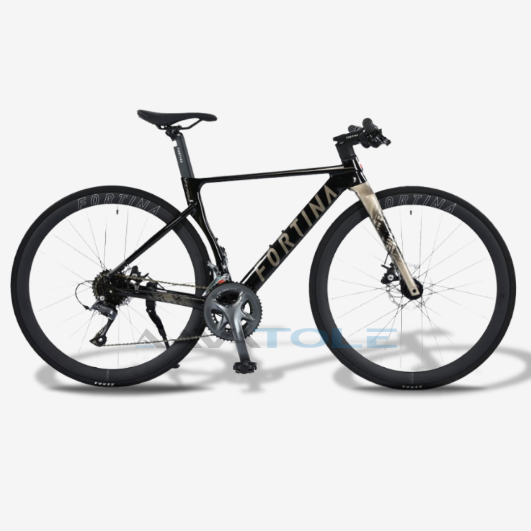 Xe đạp đường trường Fortina FT7012 màu đen
