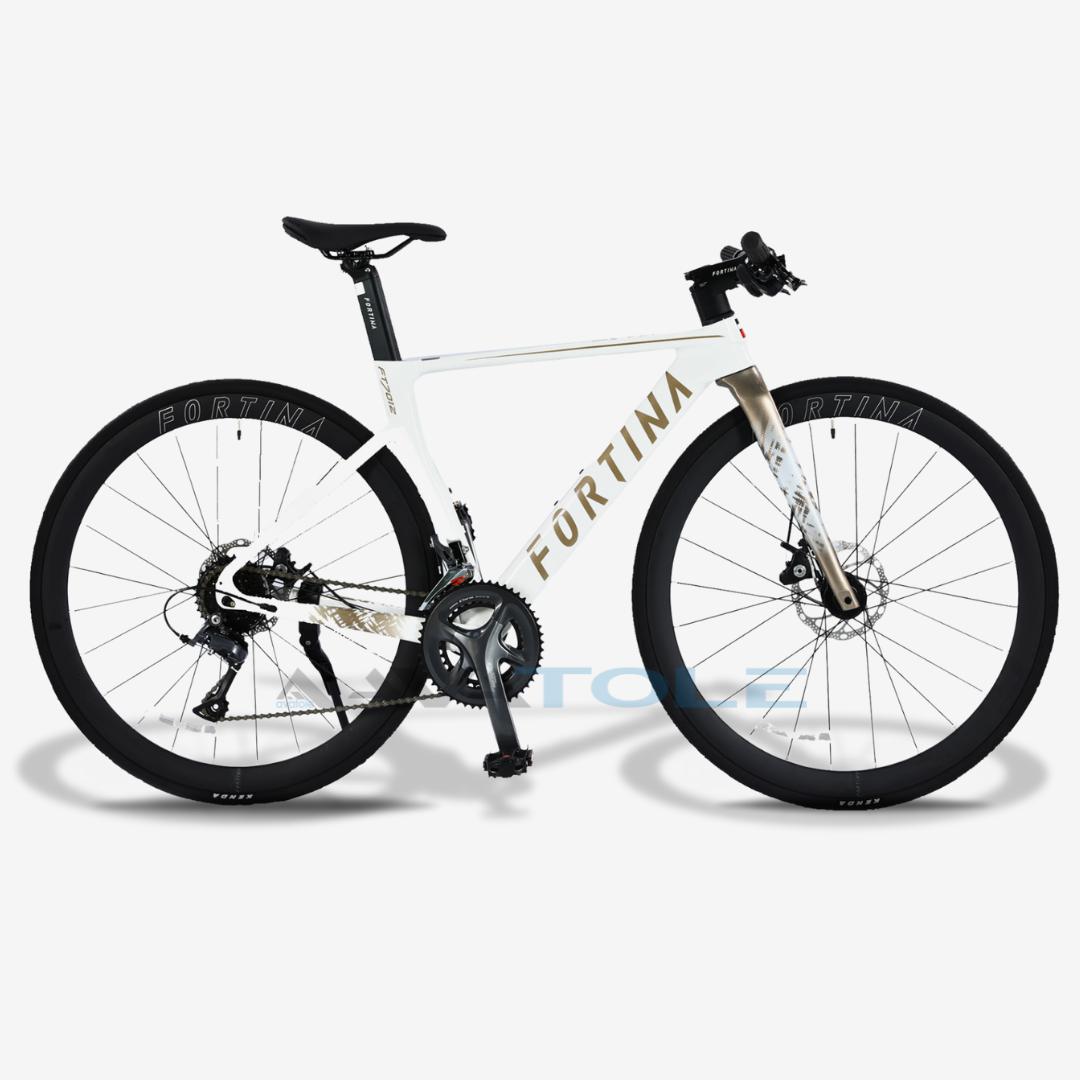 Xe đạp đường trường Fortina FT7012 màu trắng