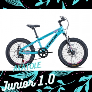Xe đạp trẻ em TrinX Junior1.0 màu đen xanh ngọc