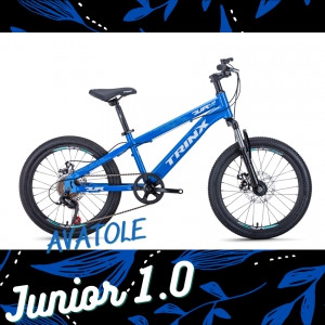 Xe đạp trẻ em TrinX Junior1.0 màu trắng xanh dương