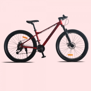 Xe đạp địa hình Fornix X9 màu Đen Đỏ