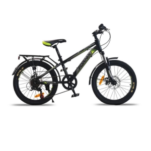 Xe đạp trẻ em Fornix FX20 màu xanh lá đen