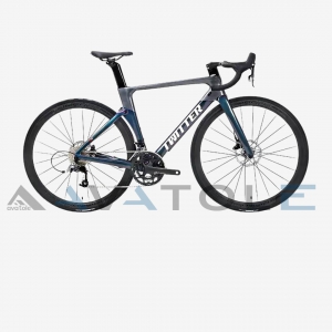 Xe đạp đua 2023 Twitter Aurora Carbon Shimano 105 R7000 màu bạc ghi đổi màu