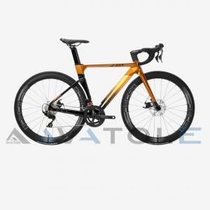 Xe đạp đua Java Jair Fuoco Carbon Disc Shimano 105 R7000 màu vàng đen