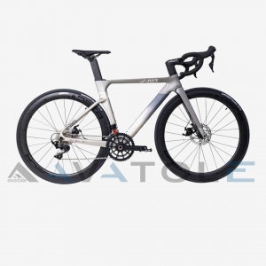 Xe đạp đua Java Jair Fuoco Carbon Disc Shimano 105 R7000 màu xám bạc