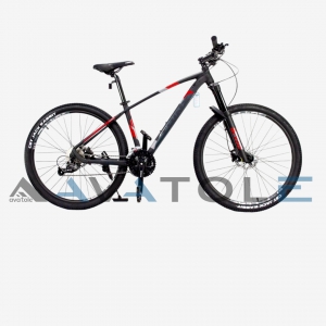 Xe đạp địa hình TrinX X1 Elite màu bạc đỏ đen