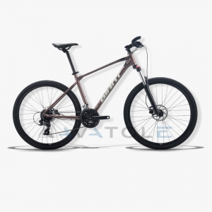 Xe đạp địa hình Giant 2023 ATX 810 màu trắng đồng