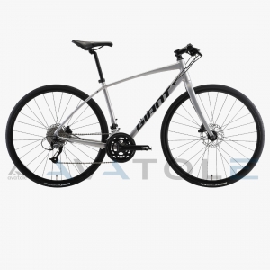 Xe đạp đường trường Giant 2023 Escape RX 2 Disc màu trắng