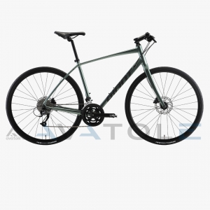Xe đạp đường trường Giant 2023 Escape RX 2 Disc màu xanh đen